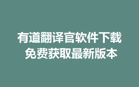 有道翻译官软件下载 免费获取最新版本