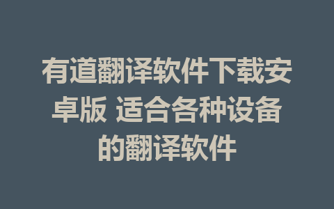 有道翻译软件下载安卓版 适合各种设备的翻译软件