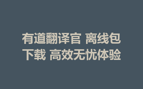 有道翻译官 离线包下载 高效无忧体验